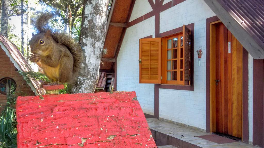 Casa de hóspedes Ecos Da Terra Chales Monte Verde (Minas Gerais)