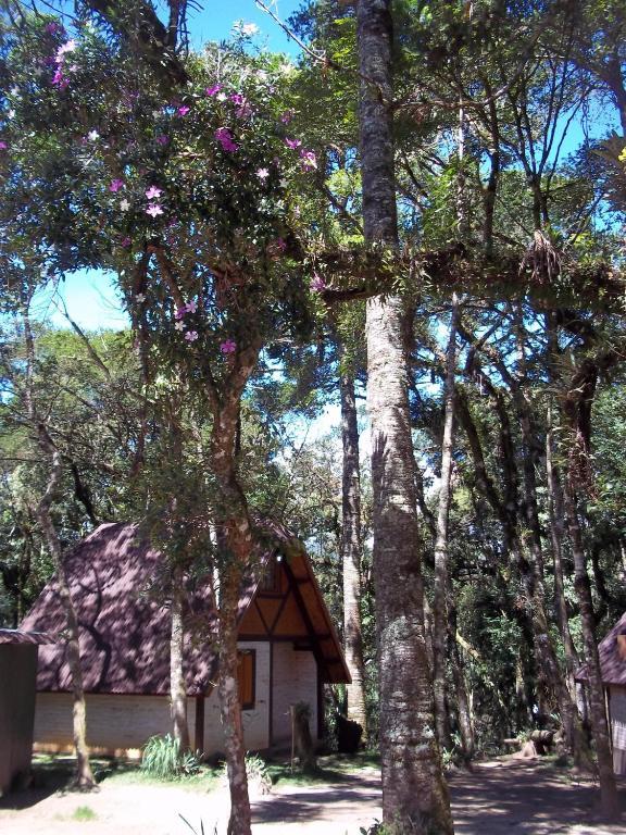 Ecos Da Terra Chales * Monte Verde (Minas Gerais)